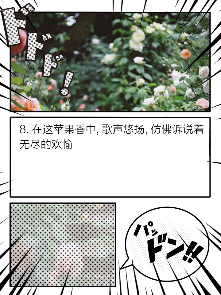 苹果版歌声(iphone歌)