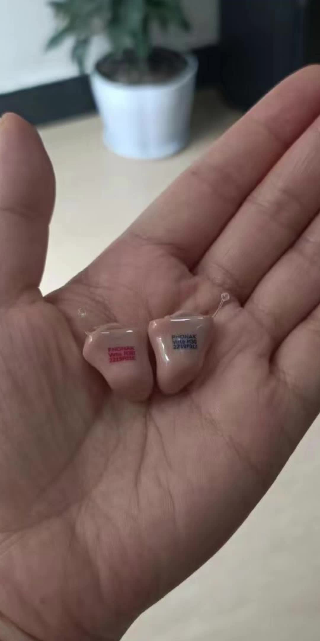 苹果版助听器(苹果助听器兼容性要开吗)-第1张图片-QuickQ官网 苹果版助听器(苹果助听器兼容性要开吗)-第1张图片-QuickQ官网