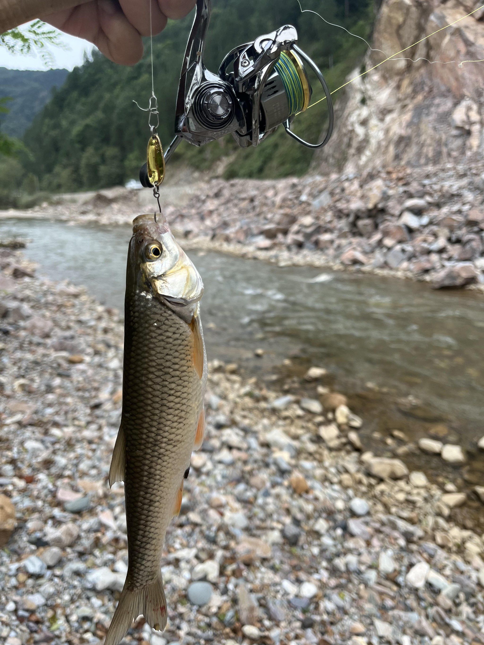 狂野钓鱼手机版(狂野钓鱼下载最新版本)-第4张图片-QuickQ官网