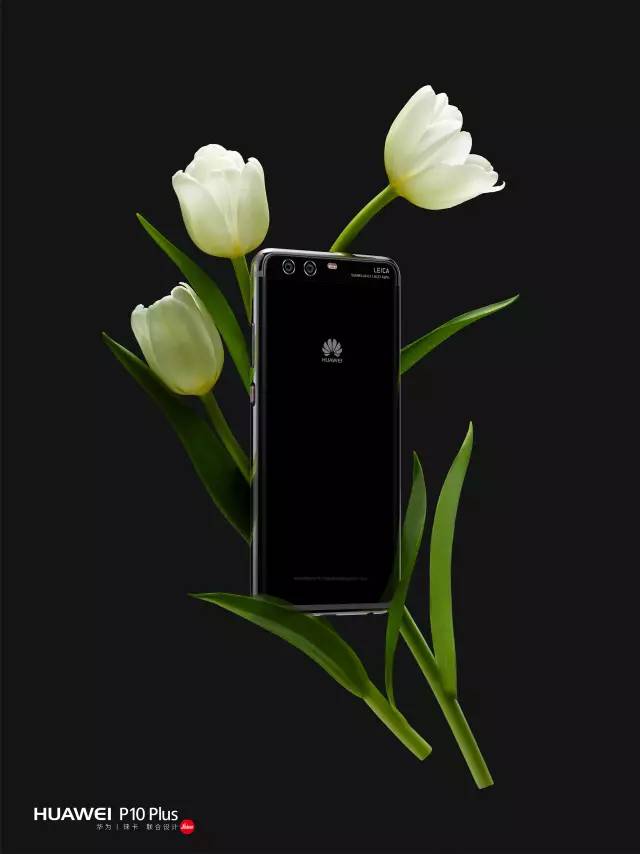 diepio手机版(diepio无限升级版下载)-第4张图片-QuickQ官网 diepio手机版(diepio无限升级版下载)-第4张图片-QuickQ官网