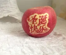 发短信苹果版(apple发短信)-第5张图片-QuickQ官网