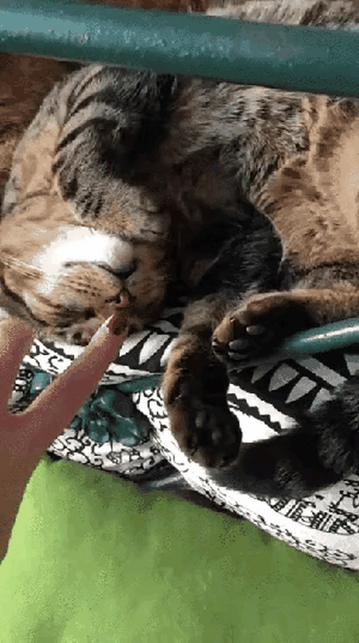 包含yaotou手机版的词条-第5张图片-QuickQ官网