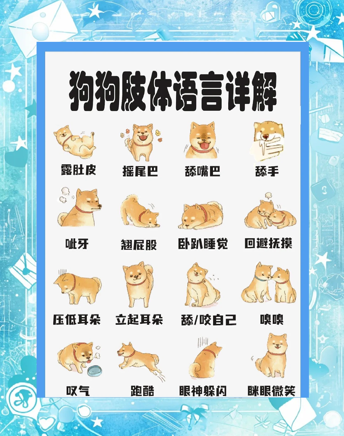 狗语翻译器手机版下载(狗语翻译器的软件app下载)