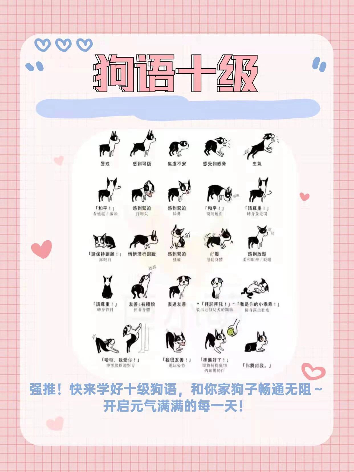 狗语翻译器手机版下载(狗语翻译器的软件app下载)-第4张图片-QuickQ官网