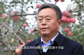 苹果版kinolar(ozbekkinolar)