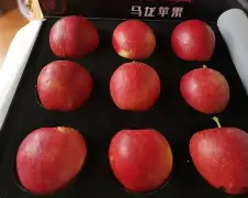 朔州版攉龙苹果版(大同攉龙游戏大厅最新版)-第2张图片-QuickQ官网