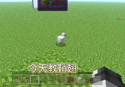 我的世界手机版浮空字(我的世界手机版浮空字体怎么弄)